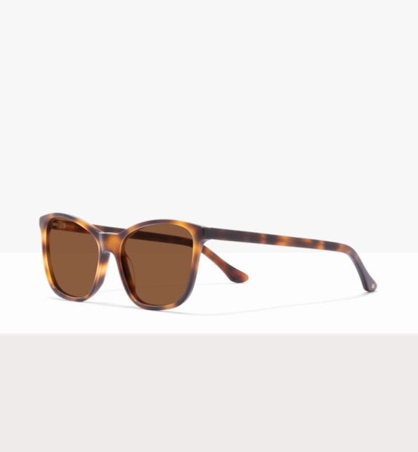 Galleria_Tortoise_45_S