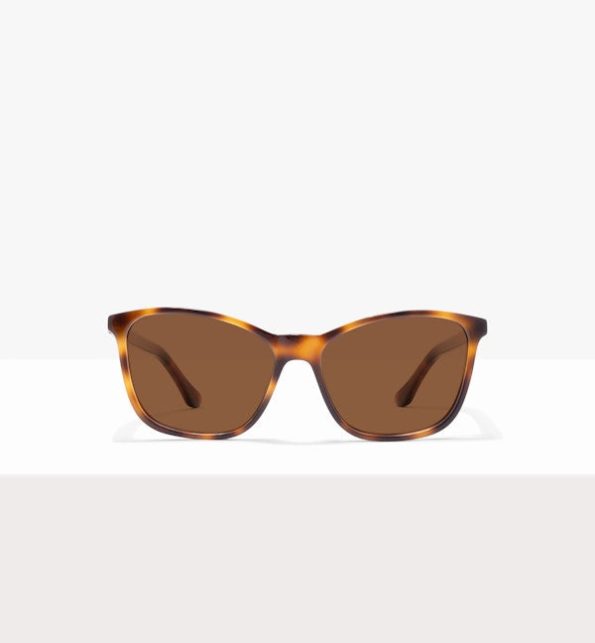 Galleria_Tortoise_Front_S