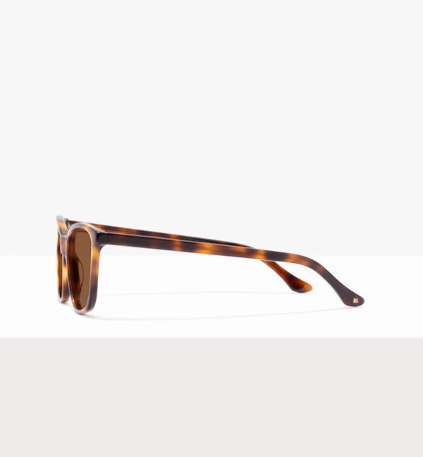 Galleria_Tortoise_Side_S